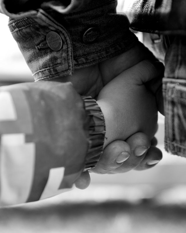 au profit des Templiers